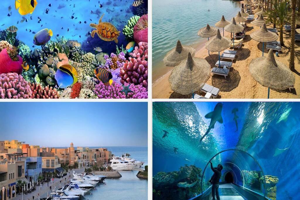 201Sheraton Plaza Hurghada Buitenkant foto