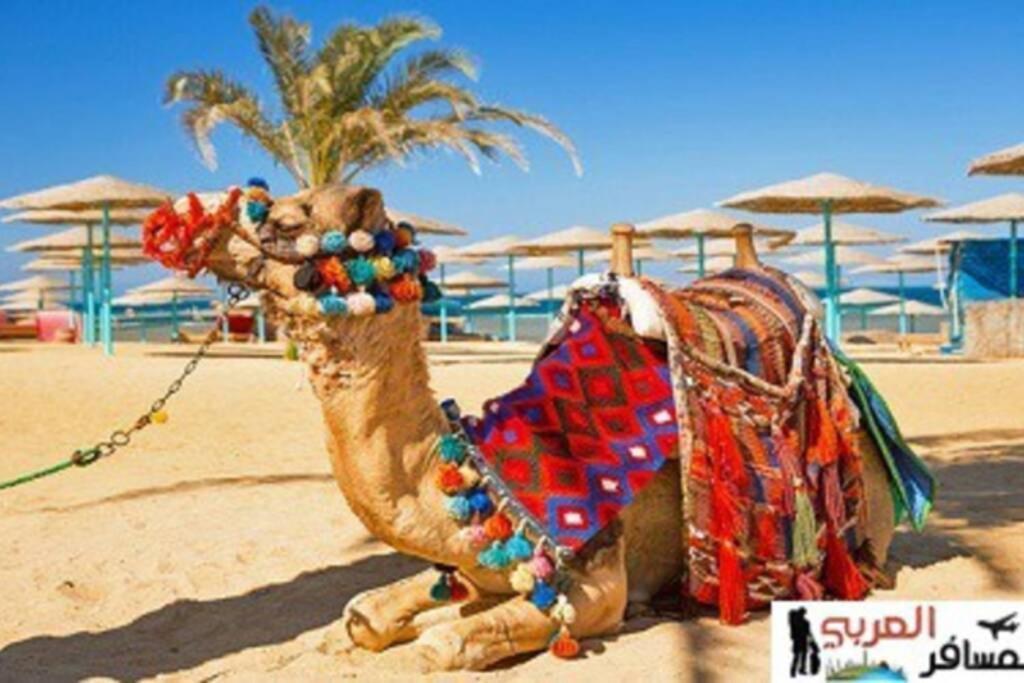 201Sheraton Plaza Hurghada Buitenkant foto